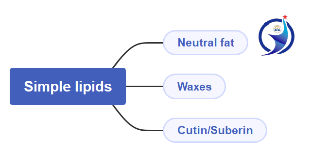 Lipid, Classification of lipid, Fatty acid, classification of fatty acid, Glycerol, Best notes of lipid(1)